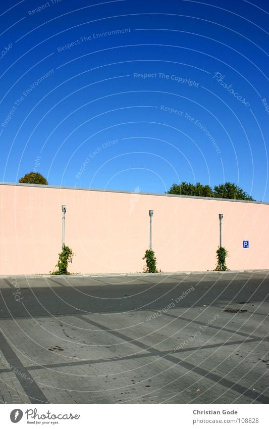 Parking situation1 Parking lot Supermarket Tree Wall (building) Pink Green Gray Ventilation Sunday Closing time Closed Concrete Asphalt Architecture Things Sky