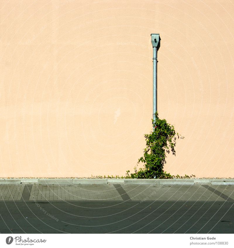 Parking situation 2 Parking lot Supermarket Wall (building) Pink Green Gray Ventilation Empty Plant Growth Sunday Closing time Closed Architecture Things