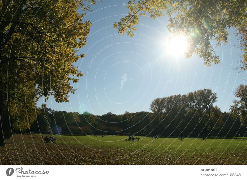 Autumn day in the park Park Clearing Dortmund North Rhine-Westphalia Contemplative Relaxation Restorative Land Feature Outskirts Friendliness Park bench Meadow