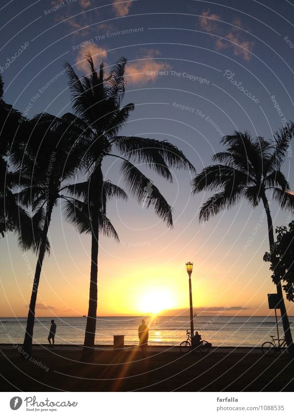 When The Sun Goes Down... Nature Plant Sand Water Sky Horizon Summer Coast Ocean Americas Emotions Happy Contentment Joie de vivre (Vitality) Power Romance