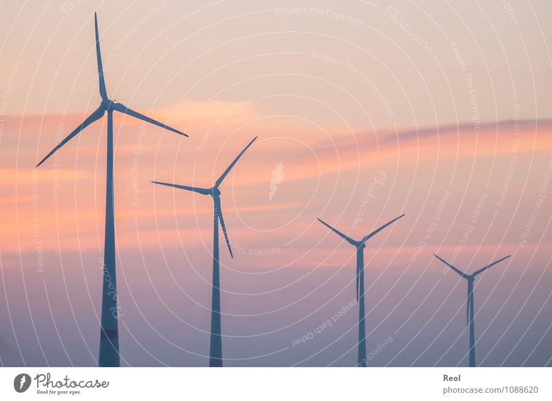 Sorting of wind turbines Air Sky Clouds Sun Sunrise Sunset Sunlight Beautiful weather Wind energy plant Pinwheel Orange Red Climate change Arrange 4 Descent