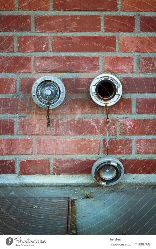 monocle Wall (barrier) Wall (building) Cap Connection Bushing Opening Metal Brick Hang Authentic Original Closed 2 Brick wall Eyes Facial expression