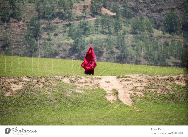 Monk in the wind Human being Masculine Man Adults 1 30 - 45 years Nature Landscape Earth Spring Beautiful weather Wind Tree Grass Meadow Field Hill Clothing