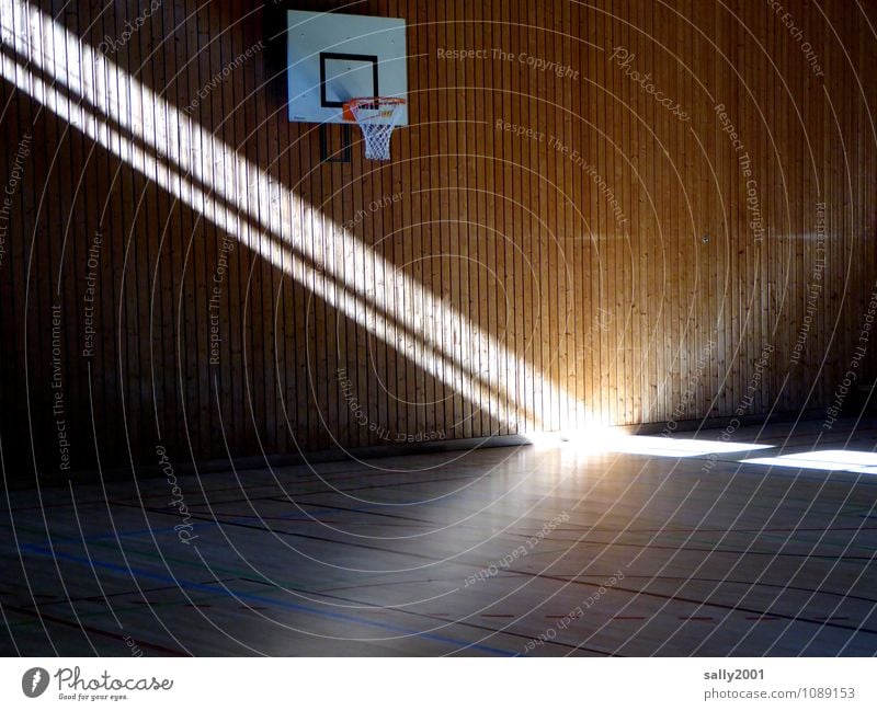 Spot on Sport... Sports Fitness Sports Training Basketball basket Sporting Complex Gymnasium Illuminate Exceptional Fantastic Bright Effort Hope Stage lighting