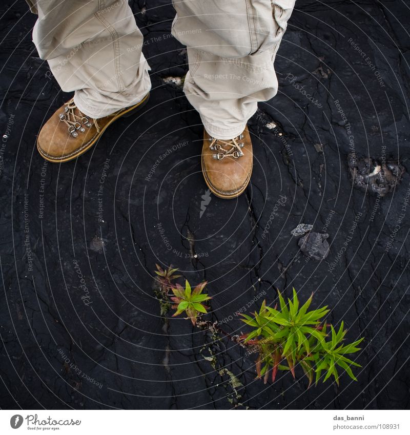 [SAFARI] - FLAT FOOT Safari Discover Expedition Trouser leg Boots Bird's-eye view Plant Dark background Botany Botanist