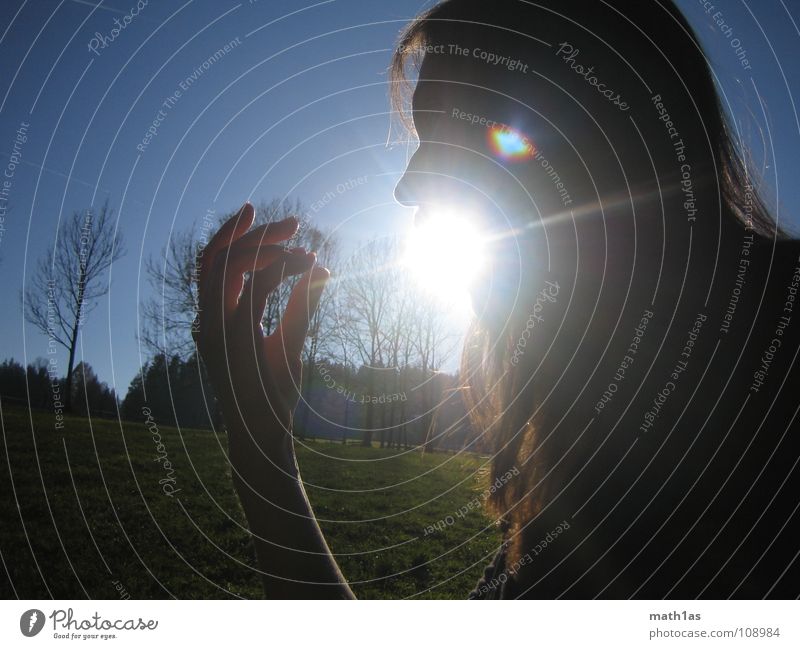 spit sun Tree Woman Sunrise Birth Hand Brown Green Back-light Beautiful Celestial bodies and the universe birth of the sun Hair and hairstyles Blue