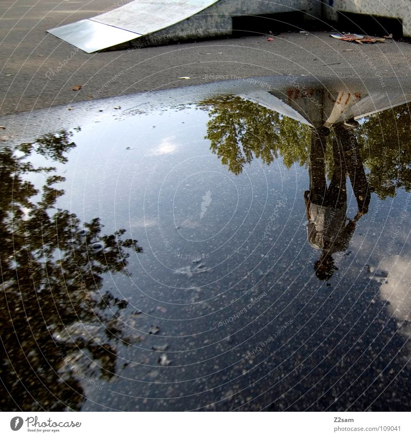 puddle skater Sports ground Ramp Puddle Reflection Tree Stand Youth (Young adults) Painting and drawing (object) Edge Right Expressway exit Leaf Autumn