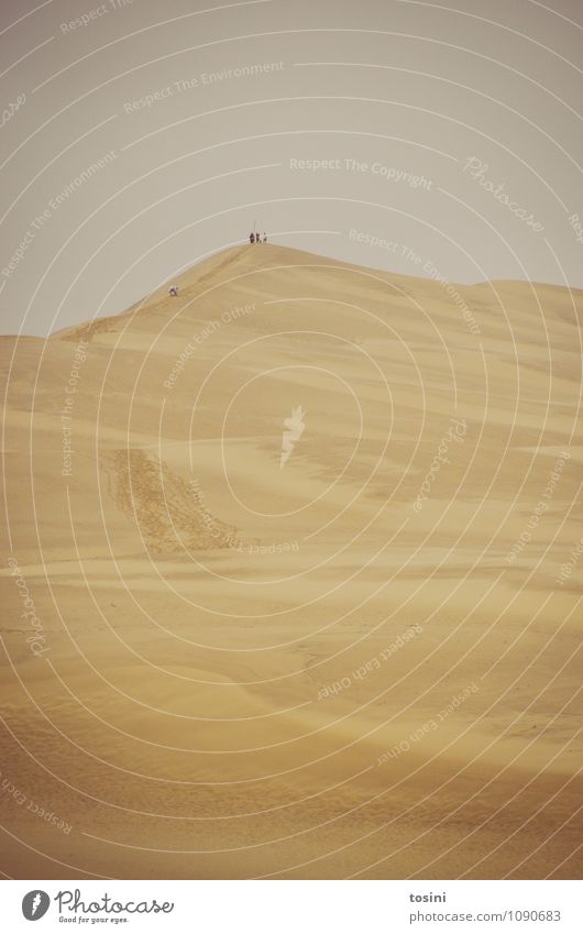 Desert and empty Environment Nature Sand Sky Hill Gloomy Dry Dune Tracks Human being Group Peak Simple traces in the sand Hot Drought Adventure Badlands Horizon