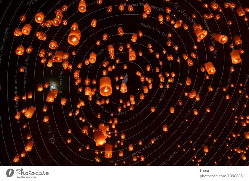 Sky lanterns festival Yee Peng Festival, Chiangmai, Thailand Happy Beautiful Vacation & Travel Lamp Party Feasts & Celebrations New Year's Eve Culture Air Park