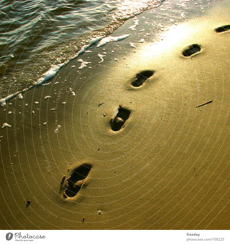 ::: Traces in the sand ::: Ocean Foam Summer Sunset Surf Beach Loneliness Cure Refreshment Vacation & Travel Relaxation Calm Hissing Waves Low tide Grain Wet