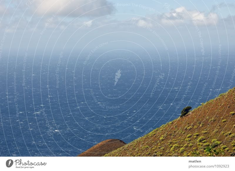 the last Landscape Plant Sky Clouds Horizon Spring Weather Beautiful weather Wind Tree Bushes Hill Mountain Peak Waves Ocean Deserted Blue Brown Green White