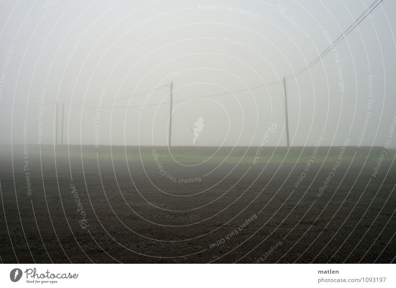 hardly anything Telecommunications Sand Spring Climate Weather Bad weather Fog Grass Deserted Brown Gray Green Electricity pylon Conduit Colour photo