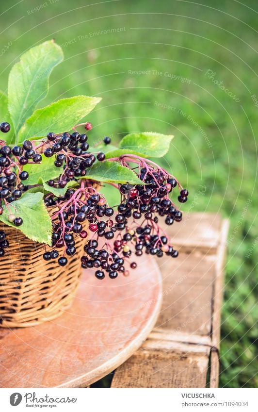 Elderberries on the garden table Food Fruit Picnic Lifestyle Style Design Healthy Eating Summer Garden Nature Beautiful weather Plant Yellow Vitamin Berries