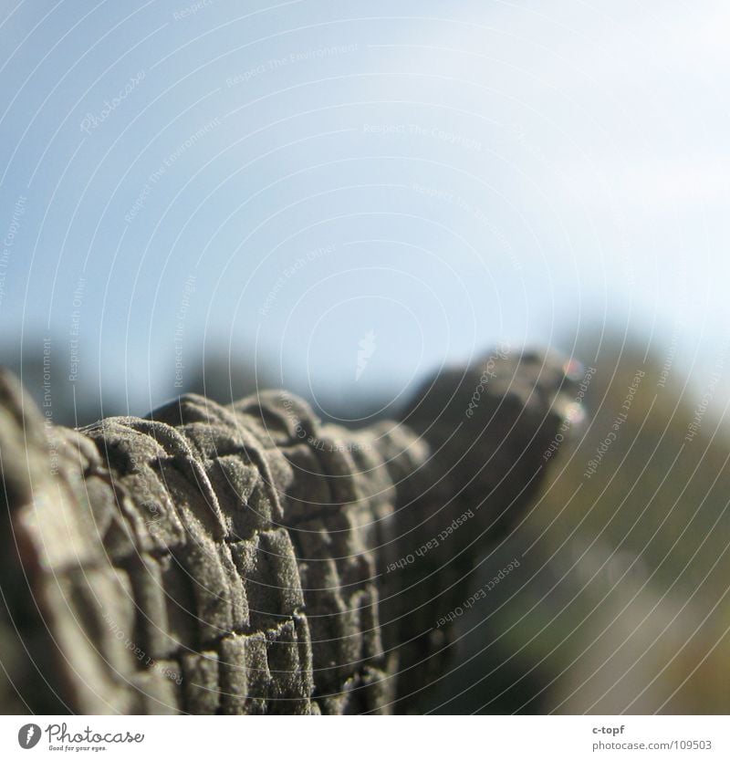 signpost Pattern Blur Hand Groundbreaking Interpret Direction Macro (Extreme close-up) Close-up Structures and shapes Arm Road marking Indicate