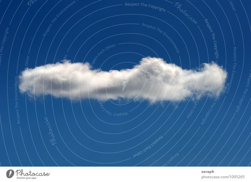 Cloud Summer Environment Nature Air Sky Sky only Clouds Weather Beautiful weather Wind Above Soft Ease Background picture Cumulus Clouds in the sky Steam