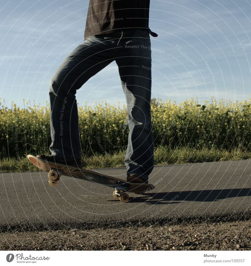 Skater One Clouds Bad weather Stripe Canola Plant Photosynthesis Blossom Agriculture Bio-diesel T-shirt Black Belt Pants Footwear Upper body Skateboarding