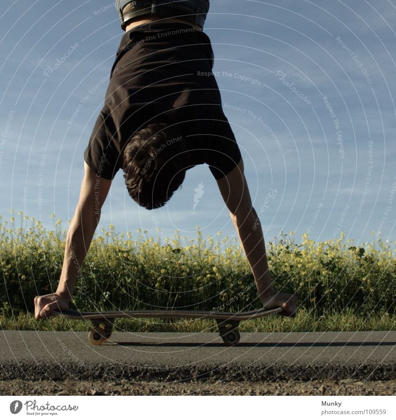 Skater Three Clouds Bad weather Stripe Canola Plant Photosynthesis Blossom Agriculture Bio-diesel T-shirt Black Belt Pants Footwear Upper body Skateboarding