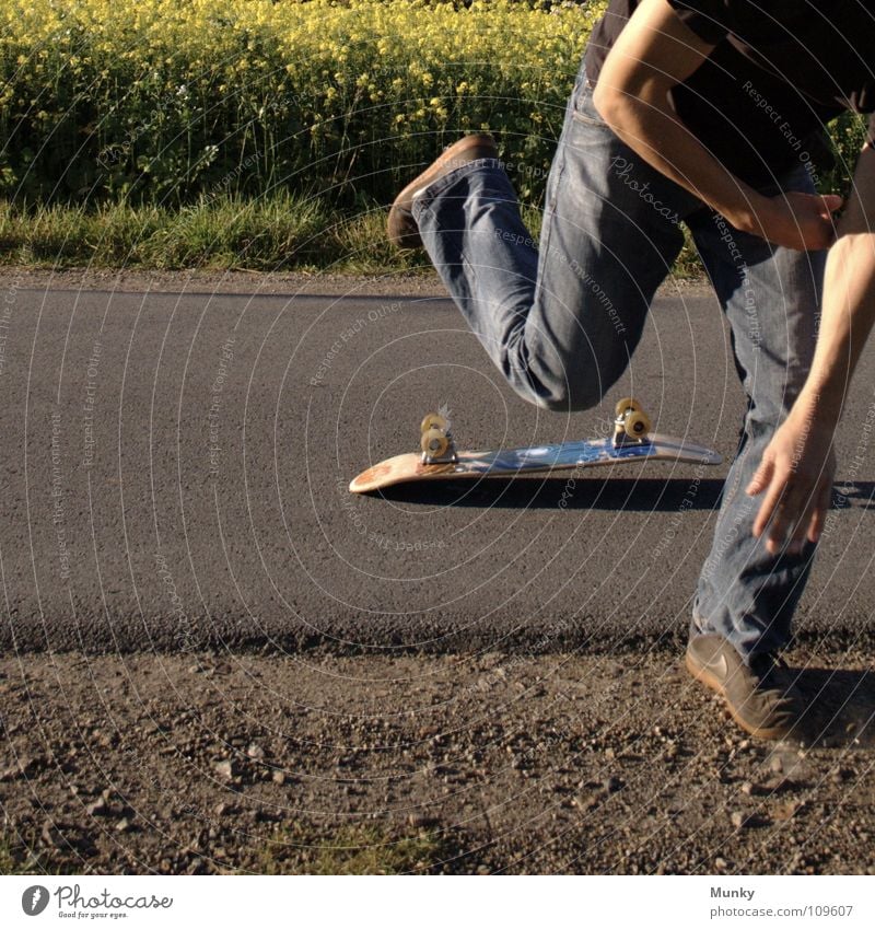 Skater Four Clouds Bad weather Stripe Canola Plant Photosynthesis Blossom Leaf Agriculture Bio-diesel T-shirt Black Belt Pants Footwear Upper body Skateboarding