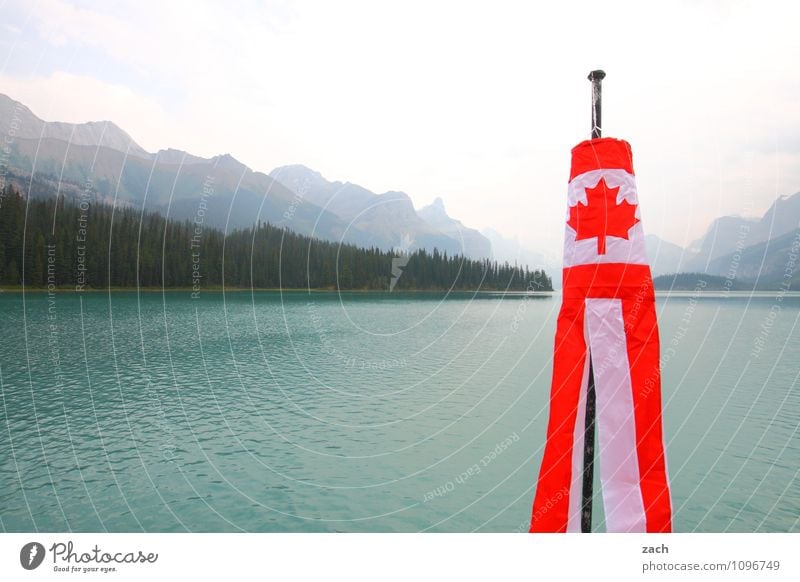 What Canada for? Far-off places Nature Landscape Water Sky Clouds Summer Autumn Fog Tree Coniferous trees Forest Rock Mountain Rocky Mountains Jasper Peak Coast