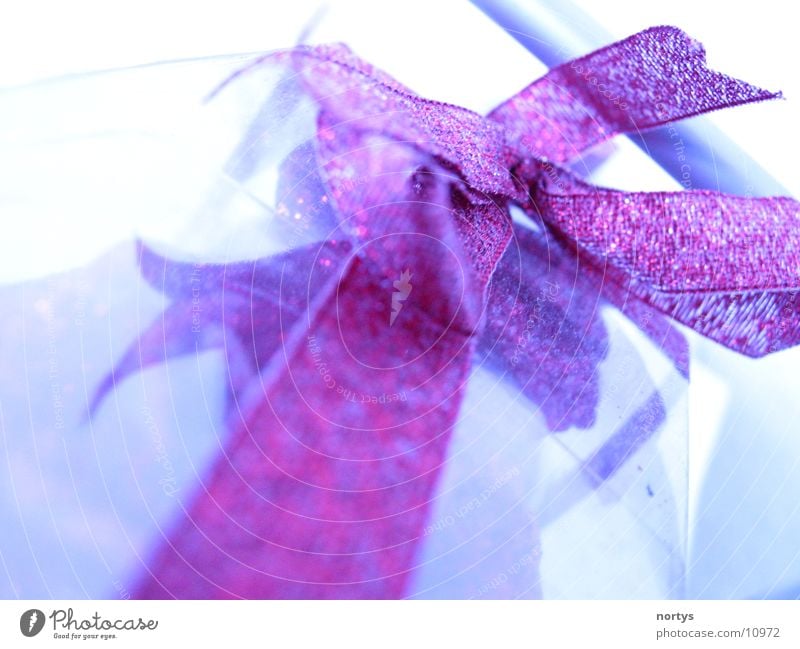 Gift! Bow Packaging Red Glittering Macro (Extreme close-up) Close-up Packaged Blue Valentine's Day