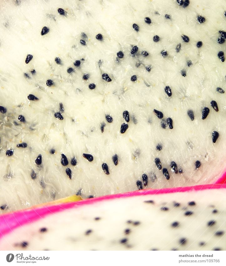 dragon fruit Dragonfruit Fruit flesh Sweet White Black Pink Violet Juicy Edible Sliced Delicious Selenicereus species cactuses family Nutrition Seed