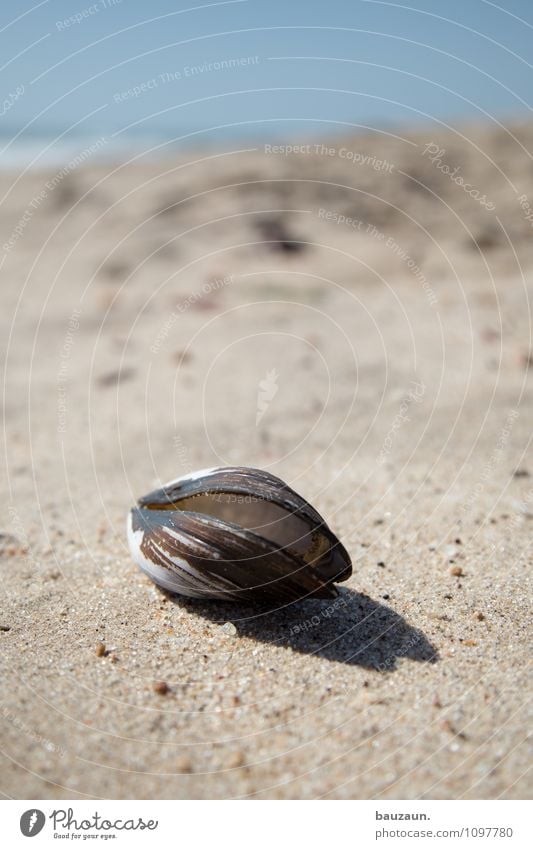 bad. Vacation & Travel Tourism Trip Environment Nature Landscape Earth Sand Water Summer Climate Weather Beautiful weather Coast Beach Ocean Swakopmund Namibia