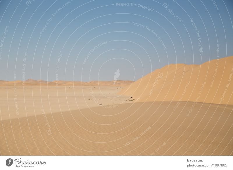 s. Vacation & Travel Tourism Trip Adventure Far-off places Freedom Sightseeing Environment Nature Landscape Earth Sand Beautiful weather Warmth Drought Desert