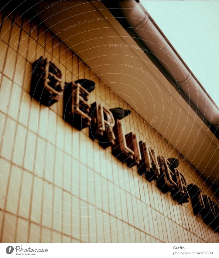 pigeon resting place Commuter trains Underground Tram Public transit Transport Letters (alphabet) Neon light Fluorescent Lights Lighting Eaves Wall (building)