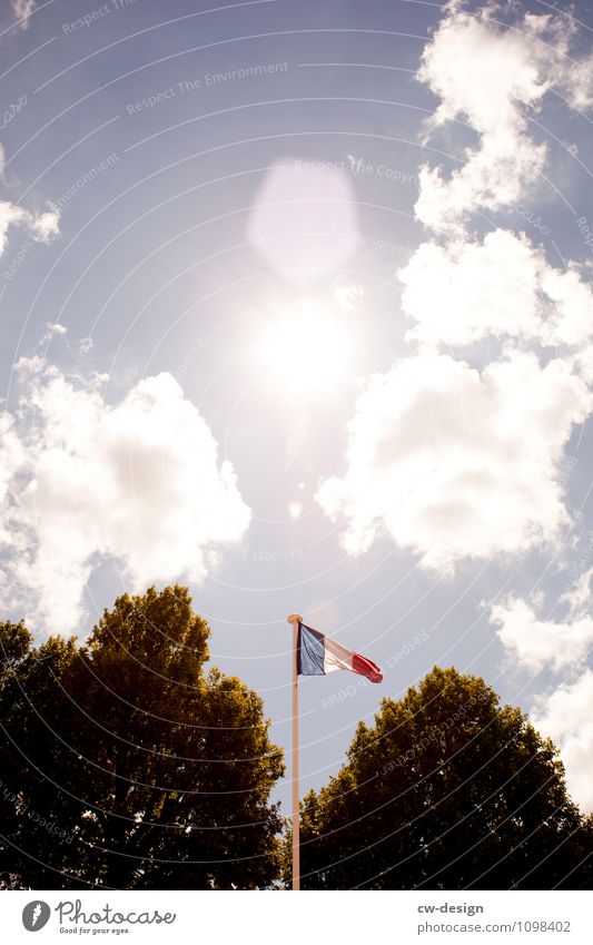 France (France) Sky Sun Sunlight Spring Summer Autumn Beautiful weather Tree Deciduous tree Town Capital city Downtown Tourist Attraction Landmark Eiffel Tower