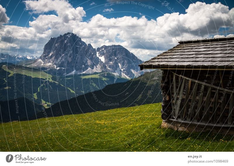 ...too bad... Vacation & Travel Tourism Trip Adventure Far-off places Freedom Summer Summer vacation Mountain Nature Landscape Clouds Spring Grass Flower meadow