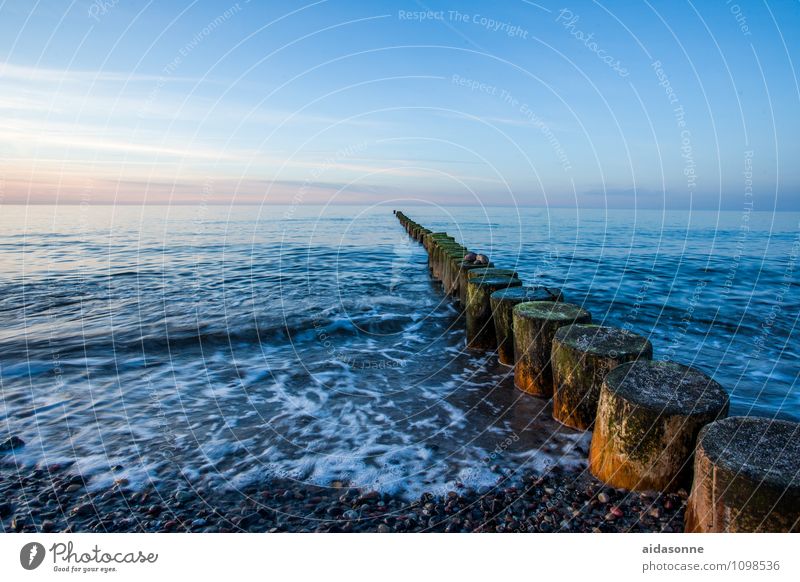 groynes Nature Landscape Water Cloudless sky Horizon Sunrise Sunset Beautiful weather Waves Beach Baltic Sea Contentment Joie de vivre (Vitality) Romance Calm