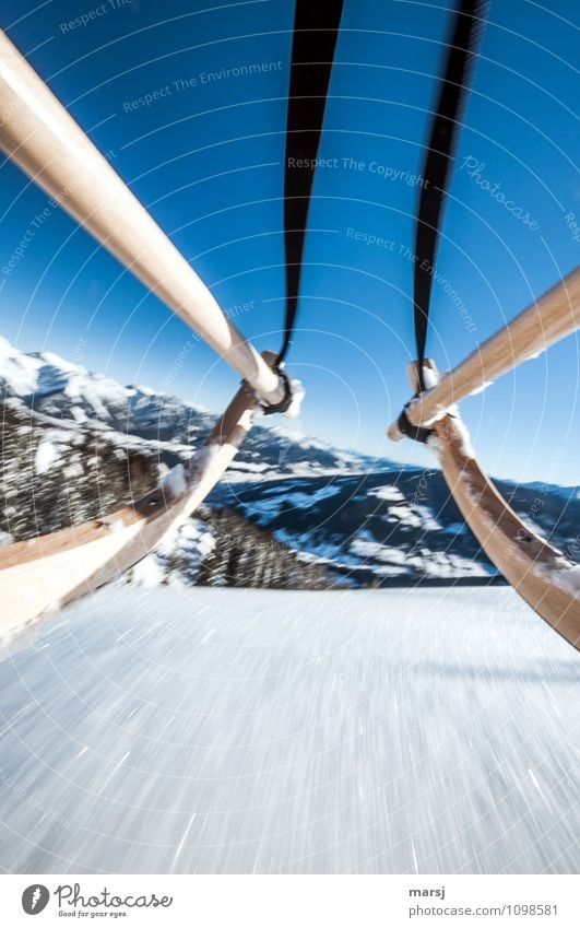 Winter fun! Nature Cloudless sky Beautiful weather Snow Mountain Snowcapped peak Cold Joy Happy Euphoria Speed Sledding Sleigh Winter sports Blade Speed rush