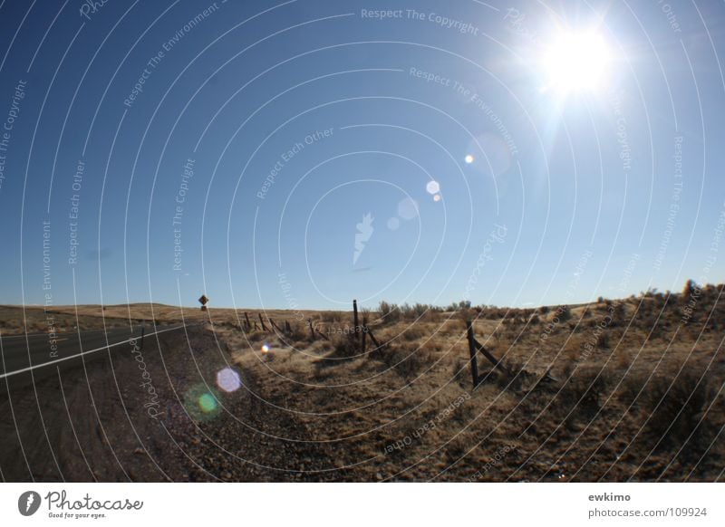 Highway in Oregon Americas Fence Wood Hot Wide angle Physics Asphalt Grass Dry Bushes Steppe Infinity Light USA Mountain Desert high-altitude desert Sun Blue