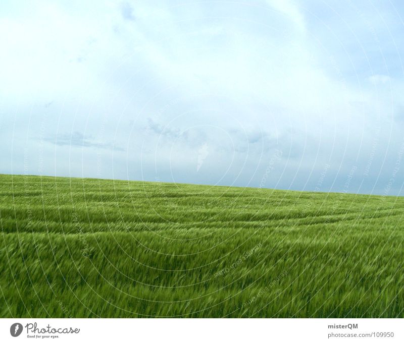 out of the blue Field Green Far-off places Loneliness Calm Tracks Dark Foreground Background picture Ingredients Immature Germany Healthy Home country Serene