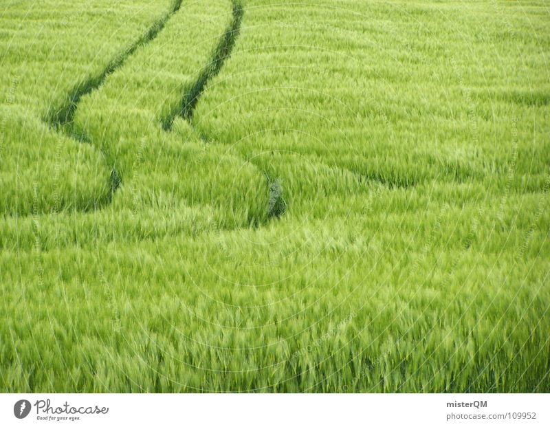 keep straight on Field Green Exit route To go for a walk Hiking Footpath Whereto Wind chime Stripe Pattern Skid marks Traffic lane Calm Midday Wheat Oats Rye