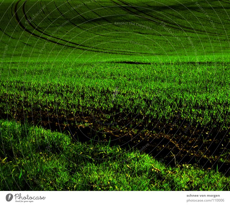 vastness Grass Field Dark Growth Twilight Calm Autumn Earth Sand attached Shadow Tracks Far-off places Perspective