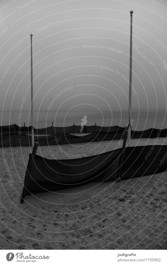 coastline Vacation & Travel Tourism Environment Nature Landscape Water Winter Climate Coast Beach Fjord Baltic Sea Dark Cold Moody Flagpole Black & white photo