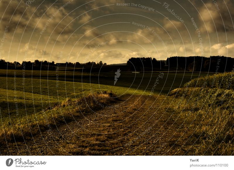 dark autumn Autumn Dark Field Footpath Horizon Clouds Bad weather Grass Meadow Tree Forest HDR Lanes & trails Sky contrast Dig