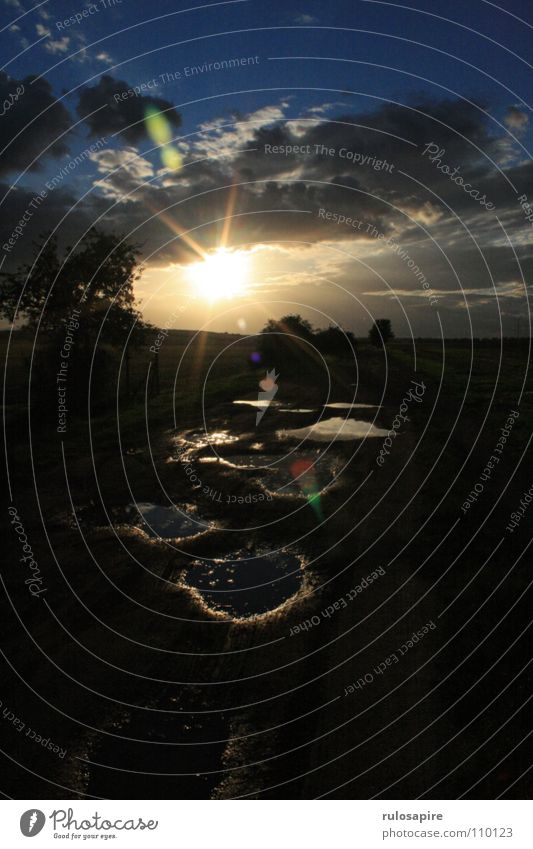 Sun mirror egg #1 Sunset Puddle Sky Clouds Lanes & trails path Water cloud