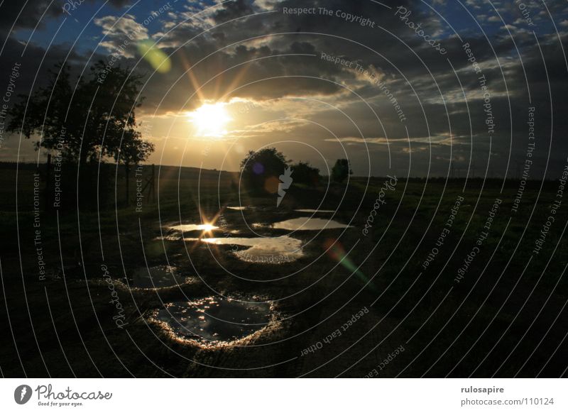 Sun mirror egg #2 Sunset Puddle Sky Clouds Lanes & trails path Water cloud