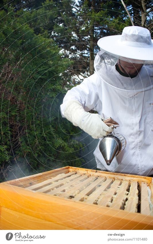 The beekeeper Lifestyle Leisure and hobbies Garden Work and employment Profession Gardening Bee-keeper Bee-keeping Craft (trade) Human being Masculine Young man