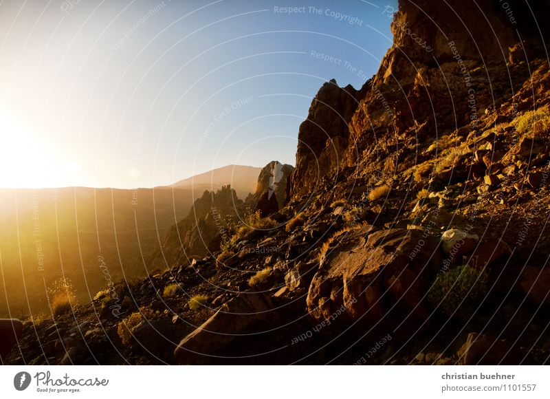 Teide - Tenerife Nature Landscape Earth Sky Cloudless sky Sunlight Summer Beautiful weather Hill Rock Mountain Volcano Esthetic Friendliness Gigantic Dry Wild