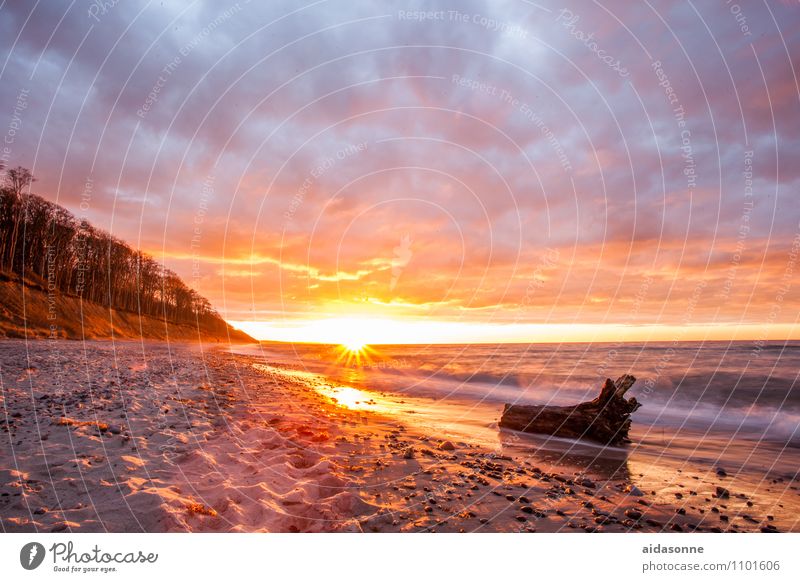 Sunset in Nienhagen Landscape Water Clouds Sunrise Beautiful weather Waves Beach Baltic Sea Contentment Joie de vivre (Vitality) Romance Attentive Calm