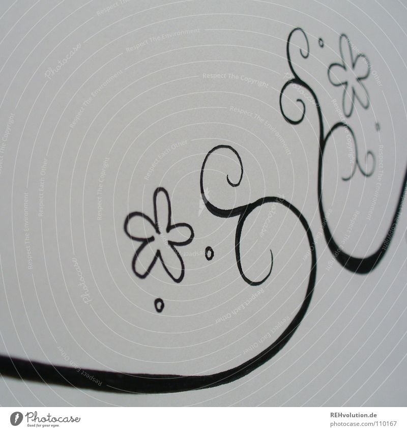 floret ring Black White Conceptual design Painting and drawing (object) Circle Curved Growth Tendril Delicate Fine Spirited Near Pen Paper Block Flower Blossom