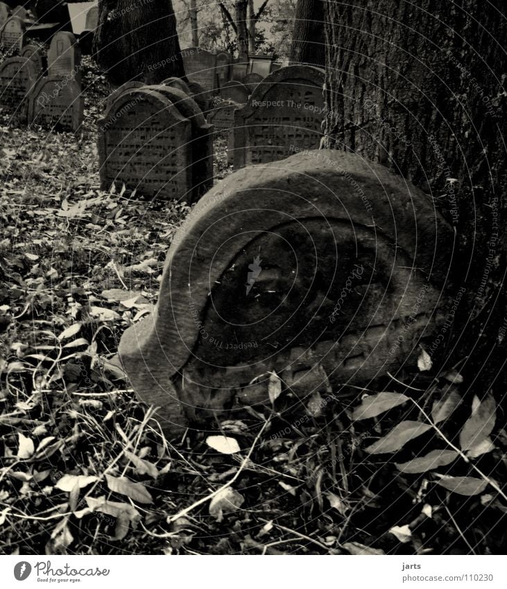 Dust to dust Cemetery Grave Tombstone Eternity Hell Grief Creepy Bury Forget Religion and faith Hope Distress Fear Panic Transience Death encrusted jarts Old