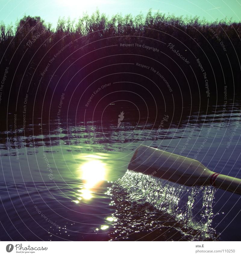 fishing pt.5 Fishing rod Fishing (Angle) Angler Lake Edge of the forest Light Patch of light Calm East Afternoon Watercraft Rowboat Leisure and hobbies Coast