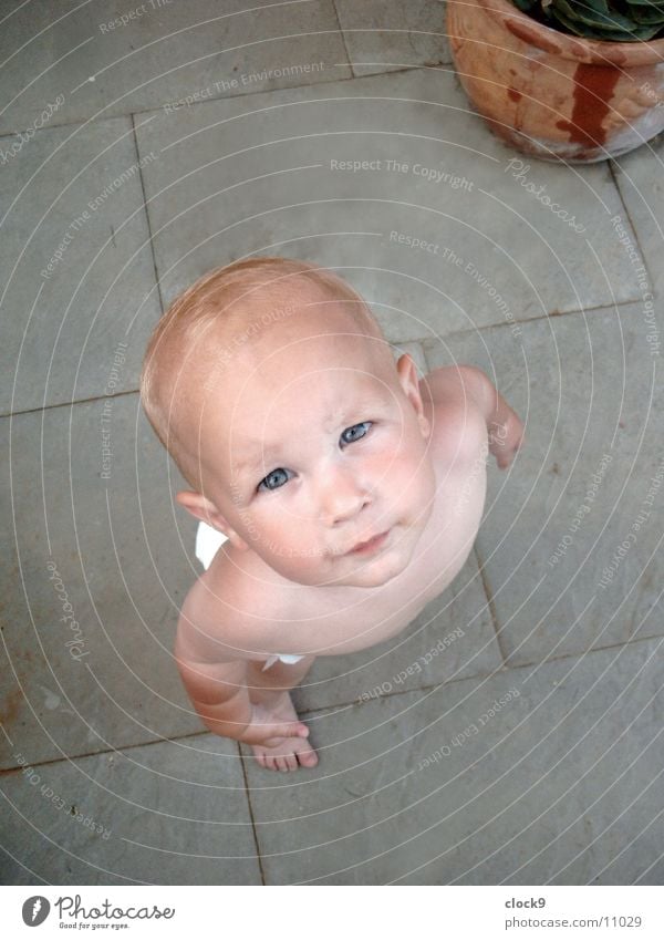 Dane Child Curiosity Portrait photograph Small Boy (child) Looking Head Nature