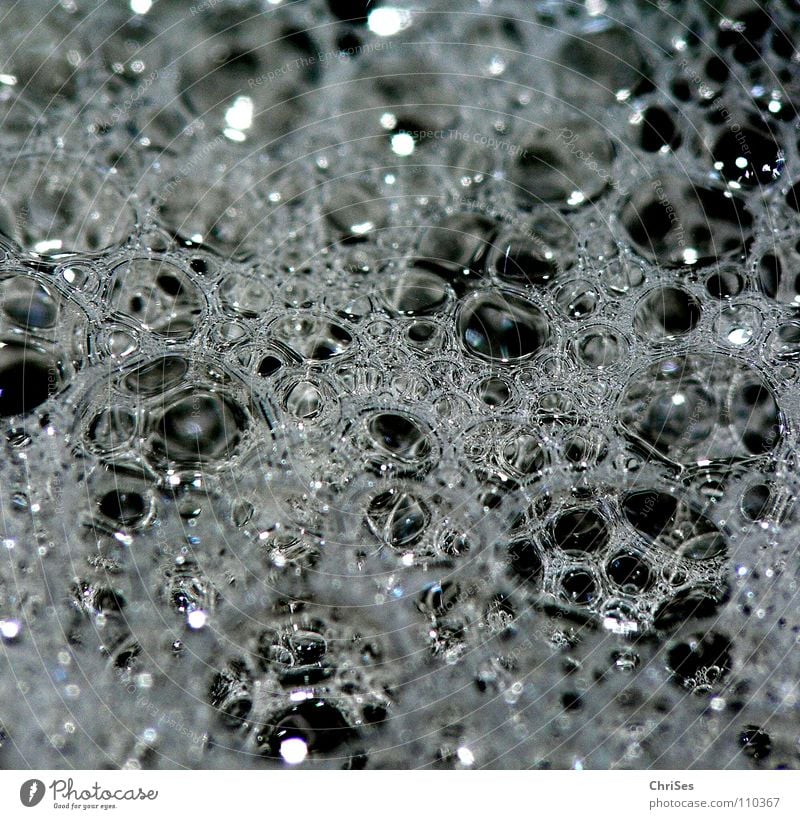 Bubbles 02 Soap bubble Foam Air Black Gray Wet Damp Shampoo Northern Forest Macro (Extreme close-up) Close-up Bathroom Water Blow Bubble bath ChrISISIS