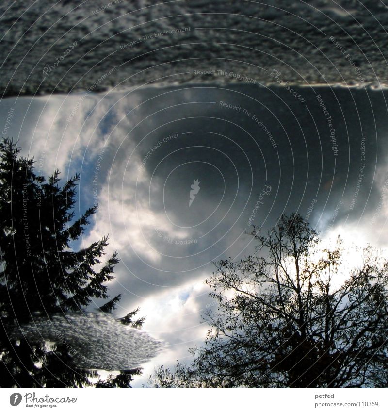 Lüdenscheid Puddle II Tree Winter Mirror Reflection Cold Gray Autumn Concrete Rain Water Sky Silver Weather