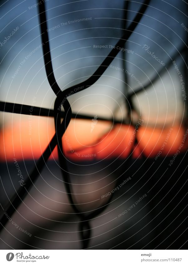 lerato Wire Fence Wire netting fence Wiry Red Black Dark Blur Near Macro (Extreme close-up) Multicoloured Exceptional Interesting Strange Puzzle Unclear Art